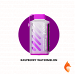 raspberry-watermelon-vozol-gear-power-20000
